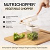 NutriChopper Handheld Vegetable and Fruit Chopper with 4 Stainless Steel Blades & Catch Container - 2 of 4