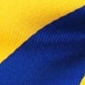 royal blue and yellow