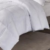 Blue Ridge Scott Living Down Alternative Tencel Lyocell And Polyester Comforter - White - 2 of 3