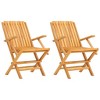 vidaXL Folding Patio Chairs Lawn Chair Outdoor Seating 2 Pcs Solid Wood Teak - 2 of 4