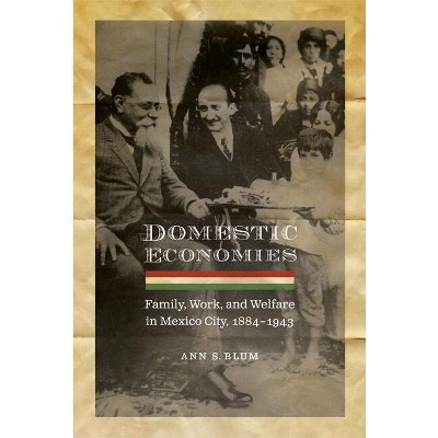 Domestic Economies - (Engendering Latin America) by  Ann S Blum (Paperback)