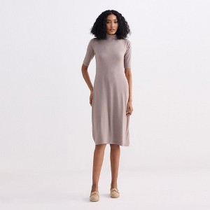 Reistor Womens High Crew Neck Elbow Sleeves Fitted Dress in Dusty Brown - 1 of 4