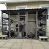 Aivituvin 104.33"L Large Wooden Outdoor Cat Enclosure with Open-Back Design-AIR7017 - 3 of 4