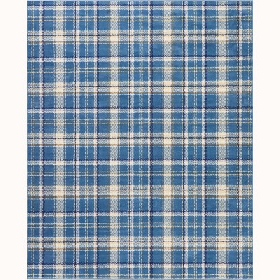 Nourison Grafix Contemporary Plaid Area Rug