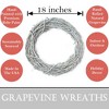 Kraft Lane: 18" Painted Grapevine Wreath - Glitter White - DIY Craft Projects - 2 of 4
