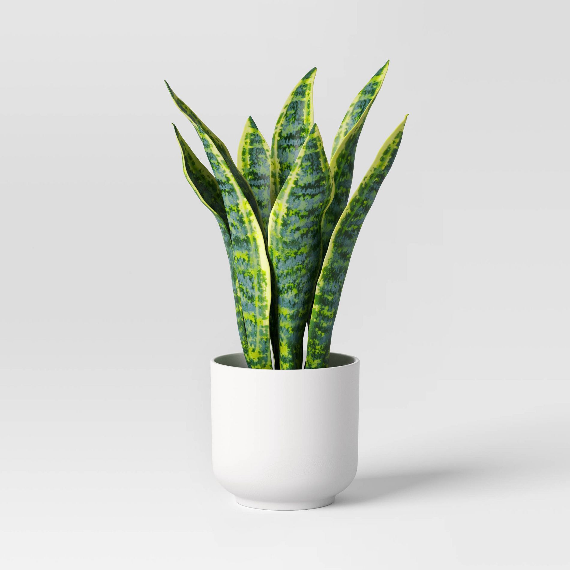 Snake Artificial Potted Plant - Room Essentials™
