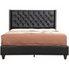 Passion Furniture Julie Tufted UpholsteLow Profile Queen Panel Bed - 2 of 4