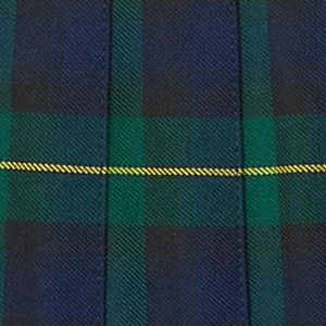 hunter/classic navy plaid