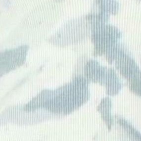 blue-sctd