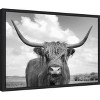 Amanti Art Highland Cow On the Ranch by Andre Eichman Canvas Wall Art Print Framed 23 x 16-in. - 2 of 4