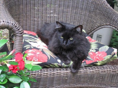 Guest review image 1 of 4, zoom in