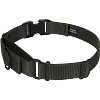 Country Brook Petz Heavyduty Nylon Martingale with Premium Buckle - 2 of 4