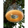 Darware Clear Glass Wasp Traps (2-Pack); Wasp Catchers for Garden and Home Use - image 4 of 4