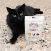Hemp Well Thrive Cat Soft Chews for Everyday Health - 60 ct. - 2 of 4