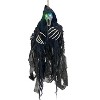 Halloween Express  20 in Light-Up Hanging Ghoul Decoration - 4 of 4