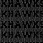 chicago blackhawks