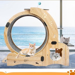 Large Silent 6-in-1 Cat Exercise Wheel with Cat House, Bowl & Shelf, 55'' Indoor Cat Running Wheel for Training-3irtyhousy - 1 of 4