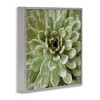 Stupell Industries Green Botanical Succulent Bloom, 24" x 24" - 3 of 4