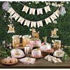 Creative Converting Little Deer First Birthday Party Kit 27ct - 2 of 4