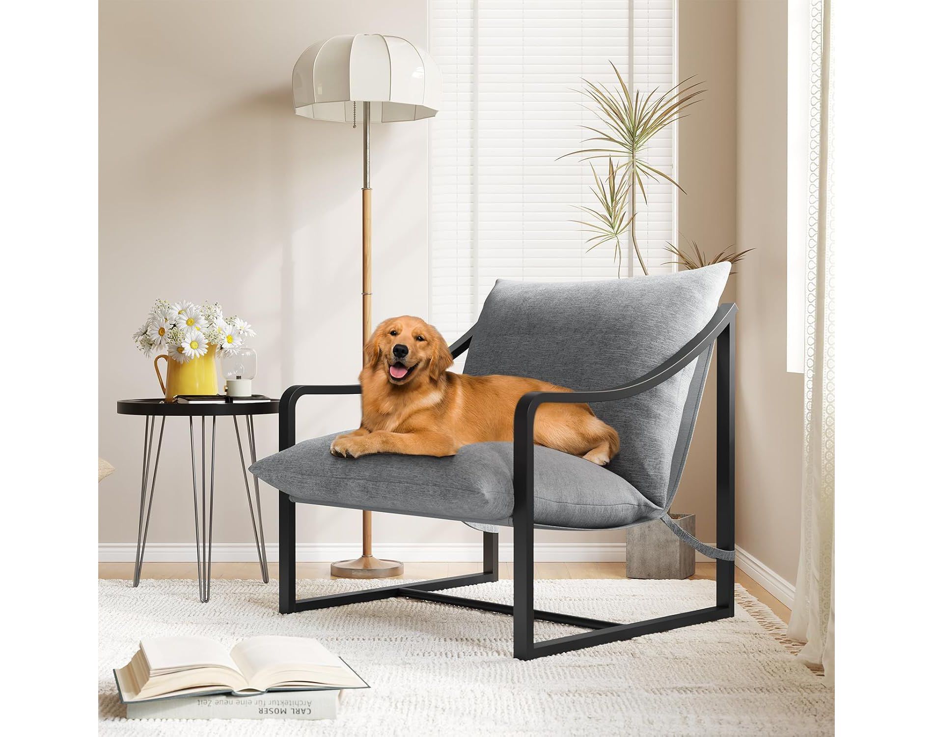 Acekool Compact Lounge Chair - Versatile Single Seater with Cushion for Living Room, Study or Porch (Multiple Colors Available)