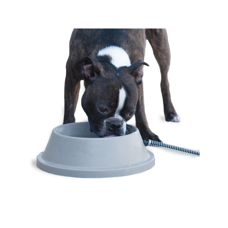 K&H Pet Products Thermal-Bowl, 1 of 2