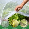 2-Pack Heavy-Duty Garden Mesh Netting 10x33FT&10x50FT-80 Holes Per Inch Reinforced Plant Cover for Birds, Rabbits-Protect Fruit, Vegetables, Berries - 4 of 4