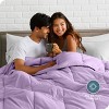 Bare Home Goose Down Alternative Comforter Set - 3 of 4