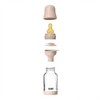 Bibs Baby Glass Bottle with Latex Nipple - 2 of 4