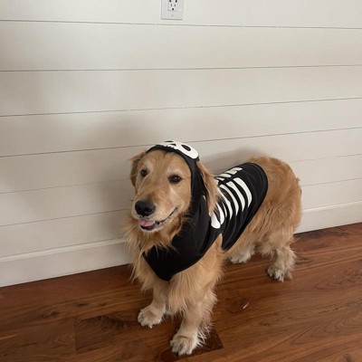 Halloween Dog Sweater - L - Hyde & Eek! Boutique™ : Target
