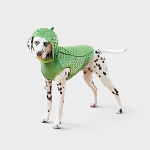 Pickle Dog and Cat Hoodie - Boots & Barkley™ - 1 of 4