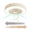YIYIBYUS 20In Enclosed Timing Dimmable LED Low Profile Flush Mount Ceiling Fan - 4 of 4