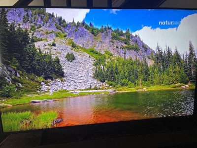 Guest review image 2 of 6, zoom in