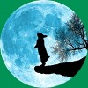 Junior's Design By Humans Moon Bunny By Maryedenoa T-Shirt - 2 of 3