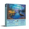 Sunsout Northern Night 1000 pc Jigsaw Puzzle 69632 - 2 of 4