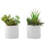 Artificial Plant, 7" Tall, Succulent, Indoor, Faux, Fake, Table, Greenery, Potted, Set Of 2, Decorative, Green Plants, White Ceramic Pots - 2 of 4
