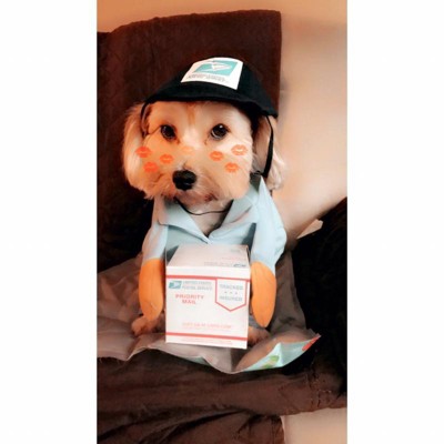 US Mail Carrier Dog Costume - Large