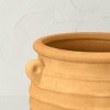 Indoor/Outdoor Earthenware Ribbed Planter Terracotta - Opalhouse™ designed with Jungalow™ - image 3 of 4