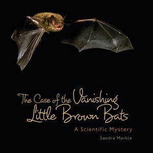 The Case of the Vanishing Little Brown Bats - (Sandra Markle's Science Discoveries) by  Sandra Markle (Paperback) - 1 of 1