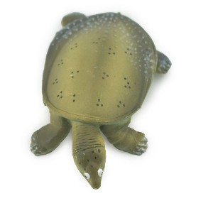 Collectible Wildlife Gifts | Turtle, Softshell Turtle, Chinese, Museum Quality, Hand Painted, Rubber Reptile,  Toy Model, Gift,   2"  CH594 BB164 - 1 of 4
