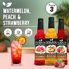 Syruvia Coffee Flavors Variety Pack: Watermelon, Peach & Strawberry 25.4 fl oz Syrup - 2 of 4