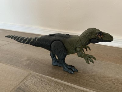 Jurassic World Dino Trackers Wild Roar Orkoraptor Action Figure : Target