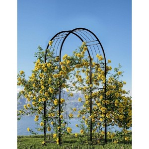 7.8FT Iron Art Sandblasted Gardening Flower Stand Arch with Ground Stakes,Elegant Metal Garden Trellis for Climbing Plants, Flowers, and Outdoor Decor - 1 of 4