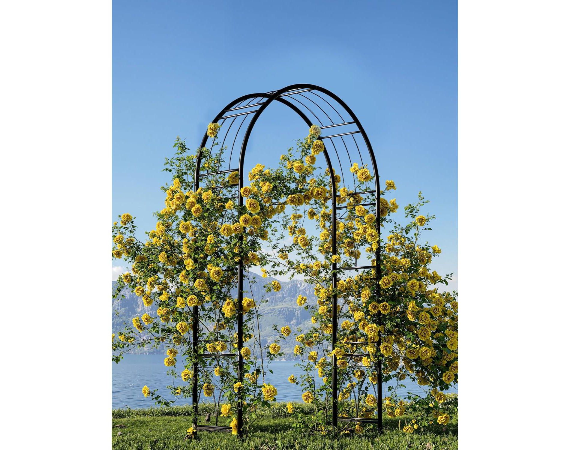 7.8FT Iron Art Sandblasted Gardening Flower Stand Arch with Ground Stakes,Elegant Metal Garden Trellis for Climbing Plants, Flowers, and Outdoor Decor