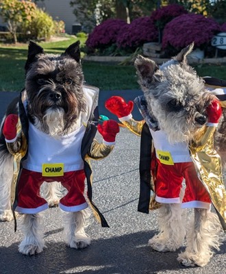 Guest review image 6 of 6, zoom in