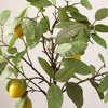 Artificial Tree - Faux 36" Potted Lemon Tree - FXP1005 - Multicolored - Safvieh - 3 of 4
