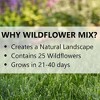 Jonathan Green Wildflower & Meadow Grass Mix – Vibrant Wildflower Seeds, Reseeding Perennials, Low Maintenance, 1 lb (Covers 1,000 Sq Ft) - 3 of 4