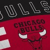NBA Chicago Bulls Circle Plushlete Pillow - 3 of 3