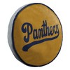 NCAA 15" Idol Cloud Pillow FIU Golden Panthers - 2 of 4