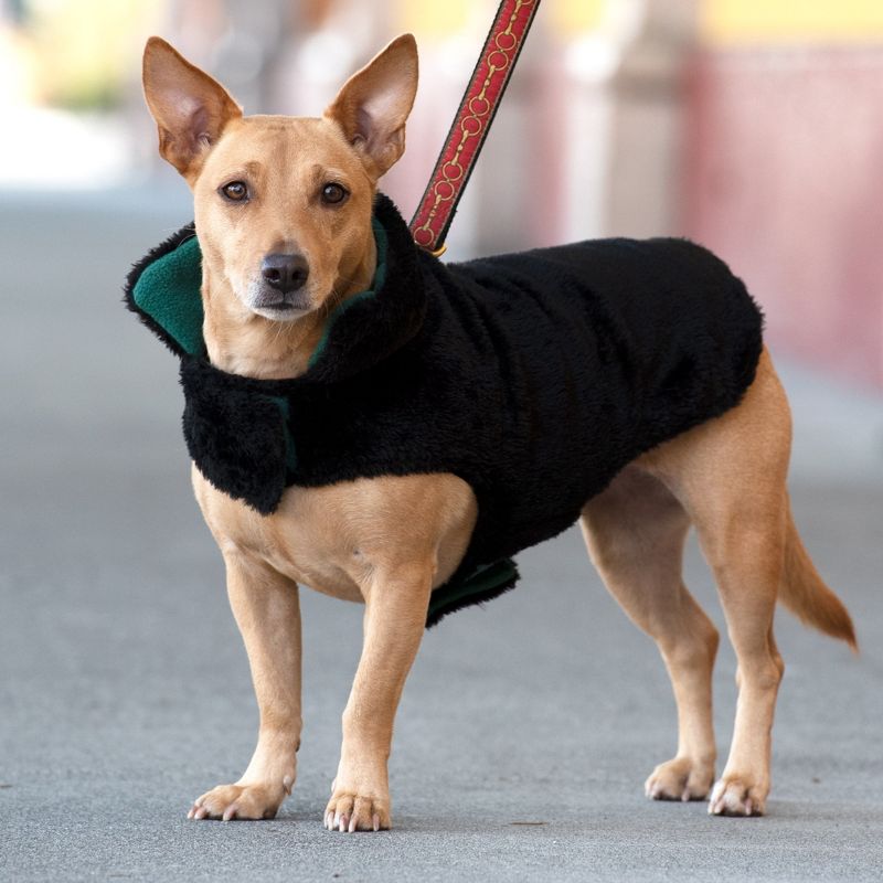 FurHaven Flex-Fit Reversible Dog Coat, 3 of 8