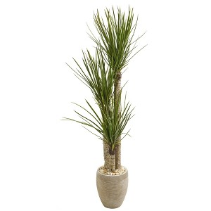 Nearly Natural 64-in Yucca Artificial Tree in Sand Colored Planter - 1 of 1